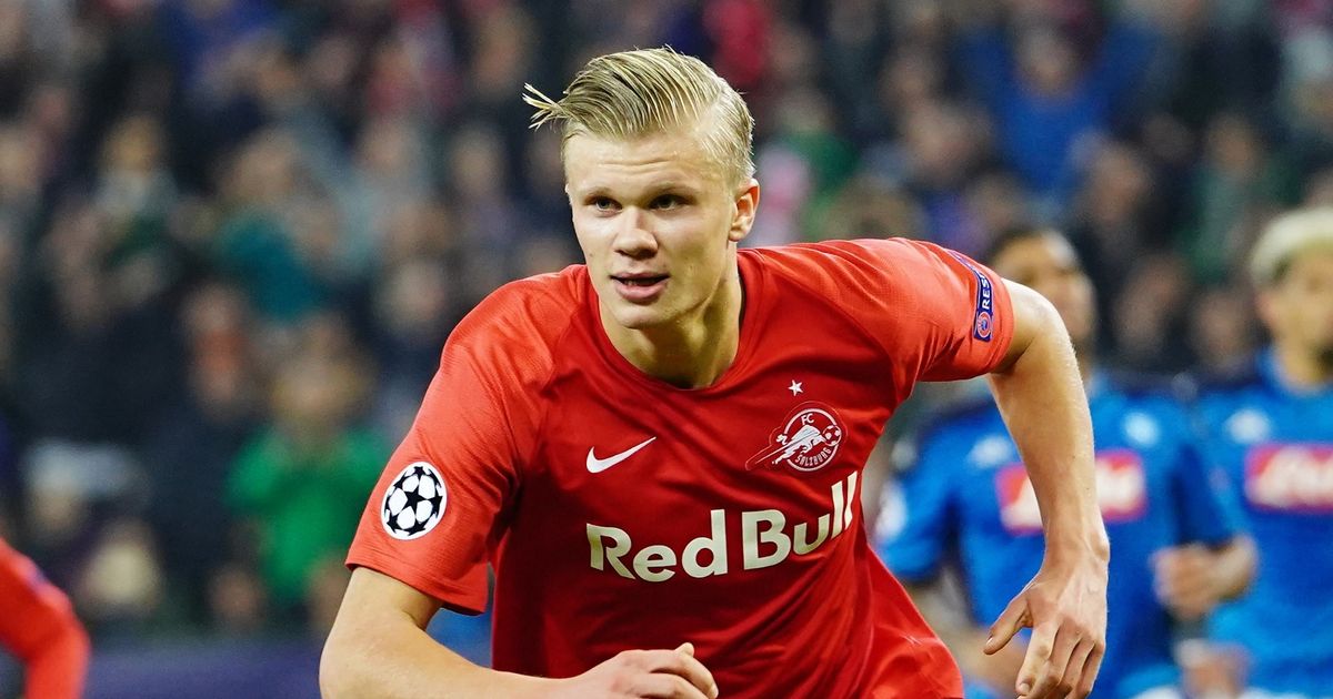 张家齐说跳水转得比过山车还快（张家齐：跳水旋转速度比过山车更快）